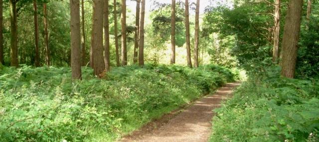 Northampton Personal Trainer tells you how to lower your stress this weekend