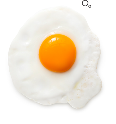 facts-left-egg.png