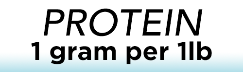 protein
